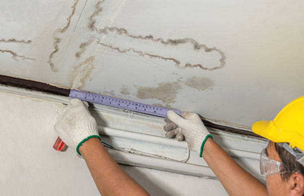 Reliable Flood Cleanup contractor in Nicholson, MS by Water Damage Irwin